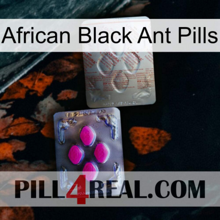 African Black Ant Pills 38